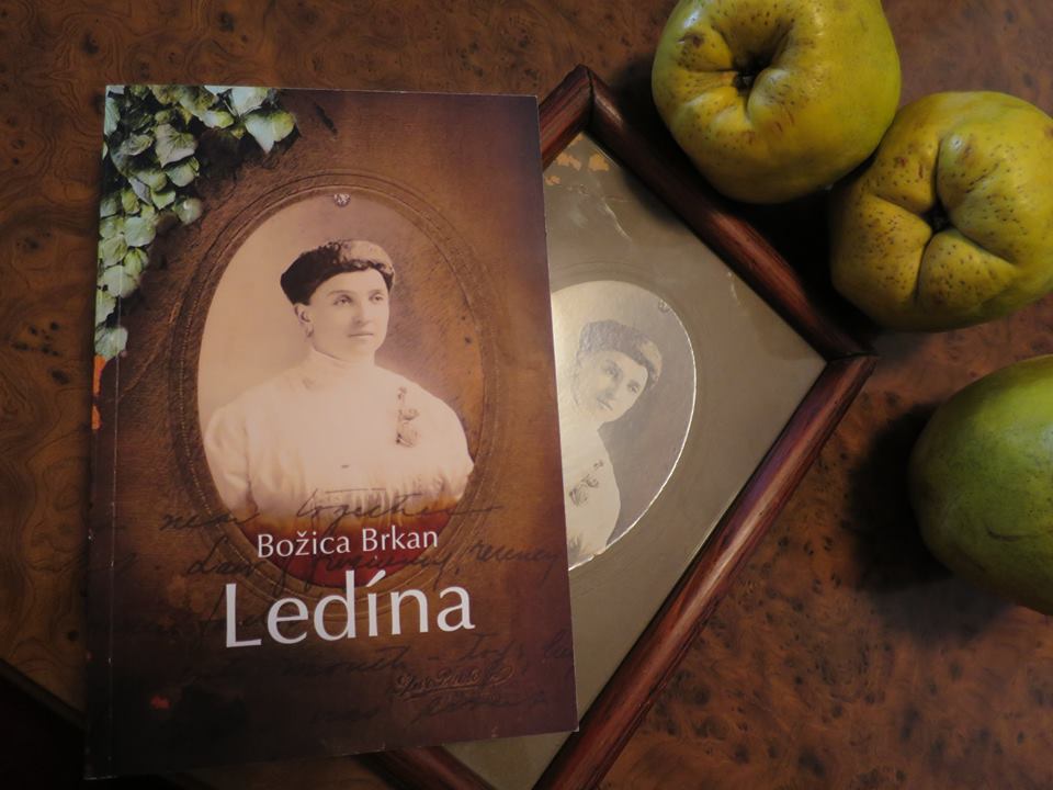 10734046_10202743432618215_8626867054875841801_n